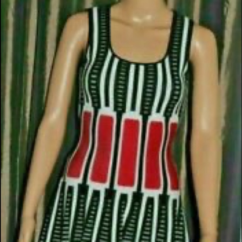 RVN fit and Flare dress